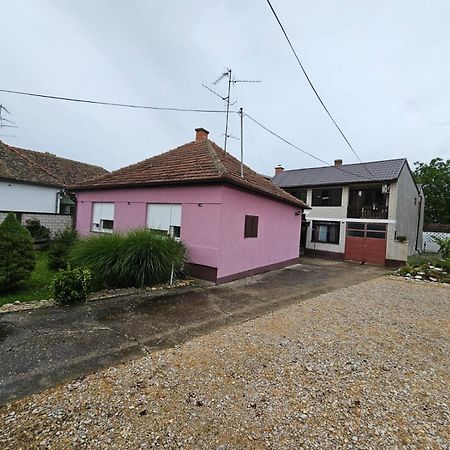 Apartmani, Sobe Ziza Bezdan Exteriér fotografie