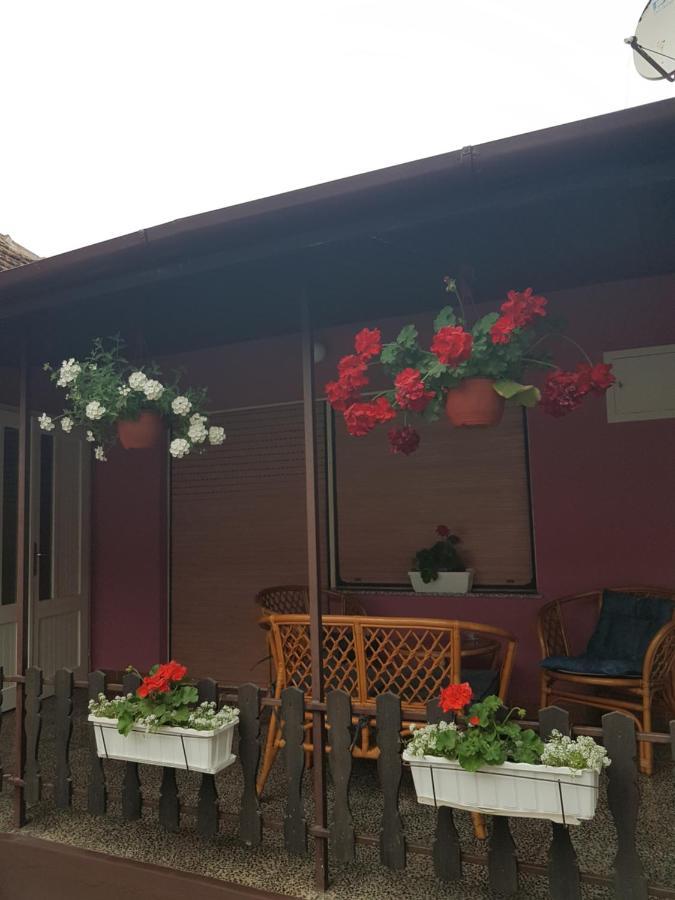 Apartmani, Sobe Ziza Bezdan Exteriér fotografie