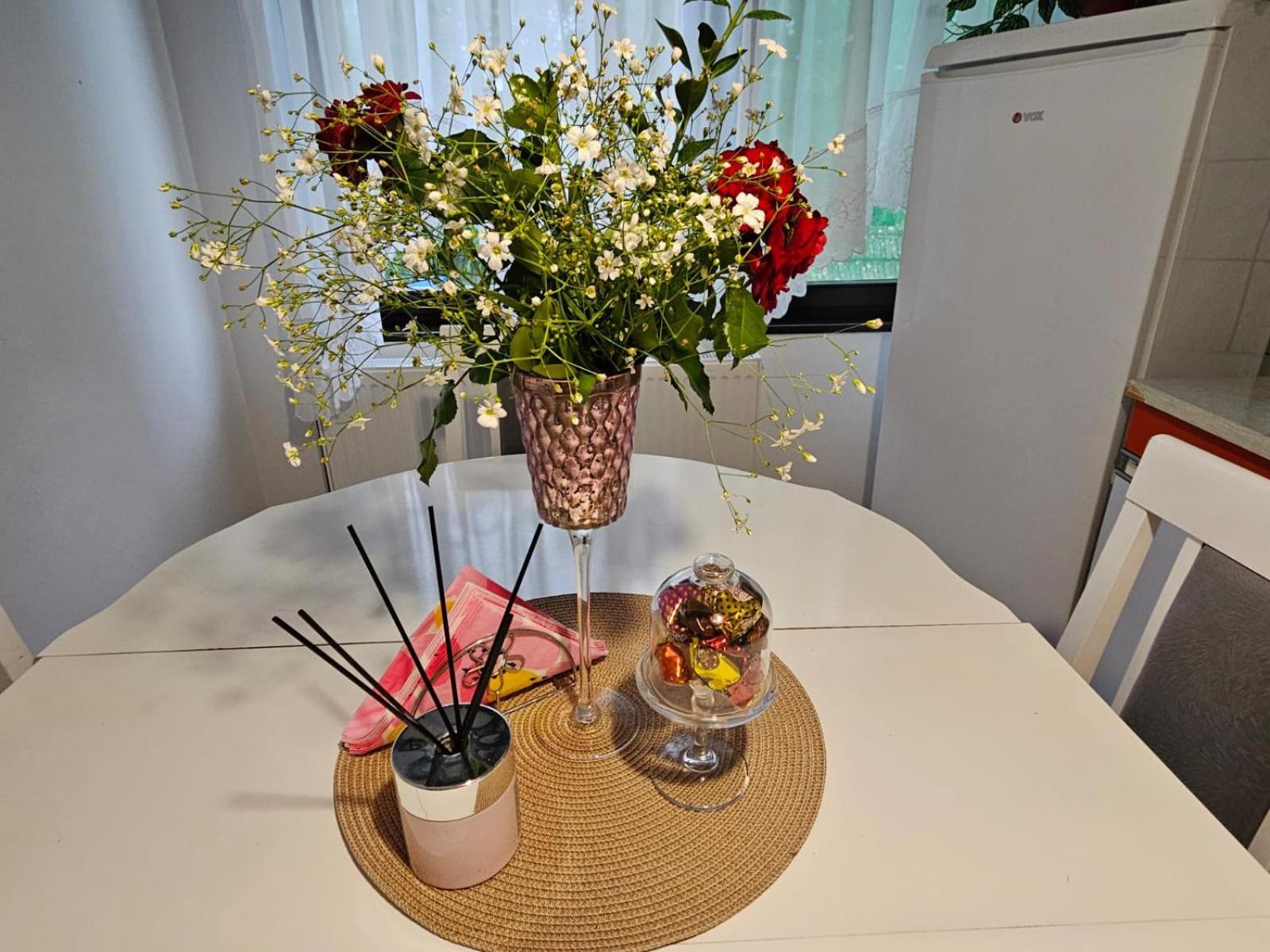 Apartmani, Sobe Ziza Bezdan Exteriér fotografie